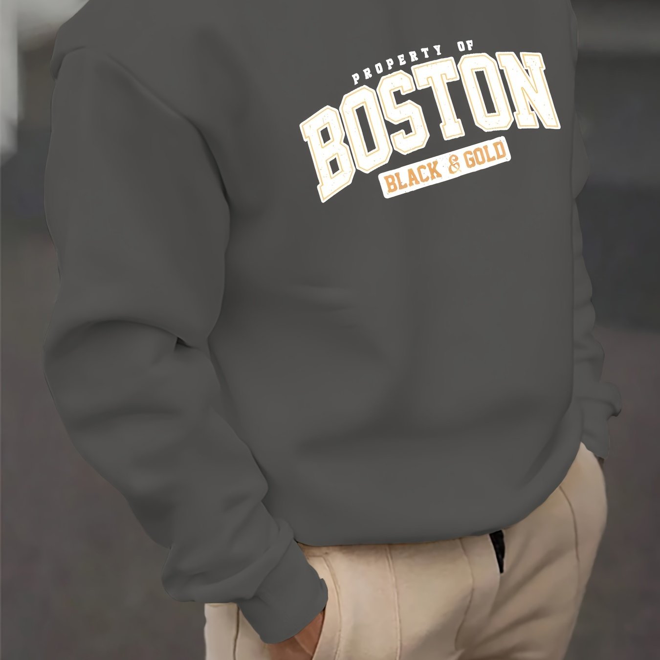 Vyraly Boston Sweatshirt