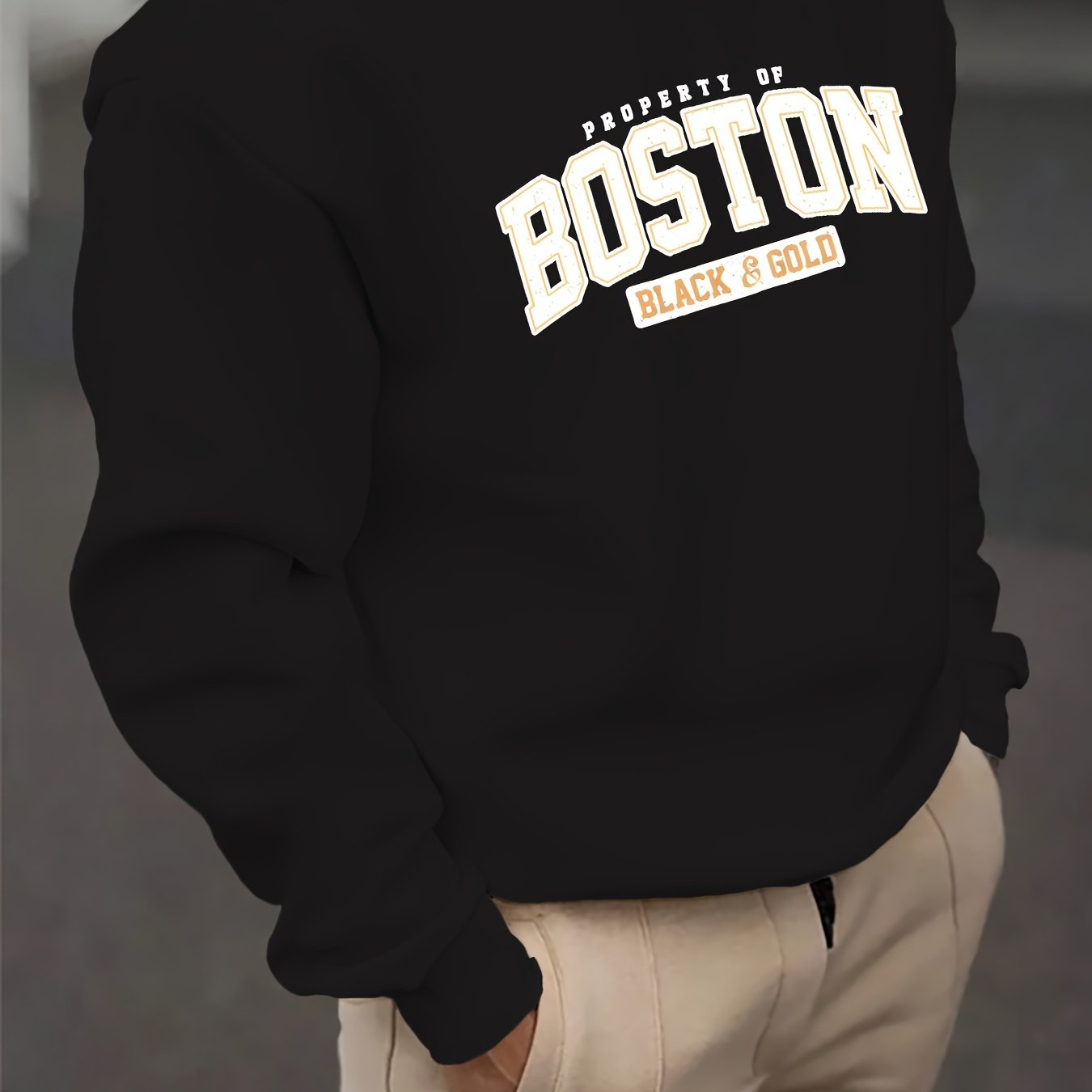 Vyraly Boston Sweatshirt