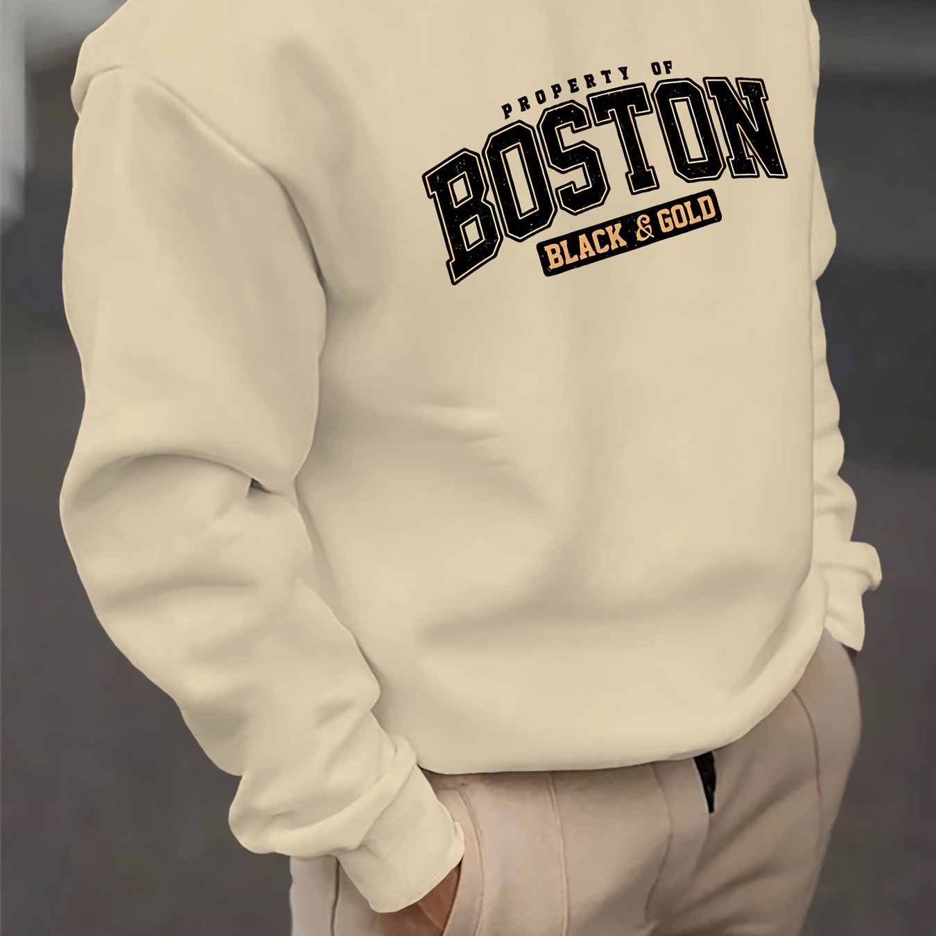 Vyraly Boston Sweatshirt